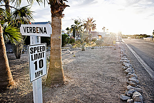 限速,交通标志,公园,亚利桑那,美国