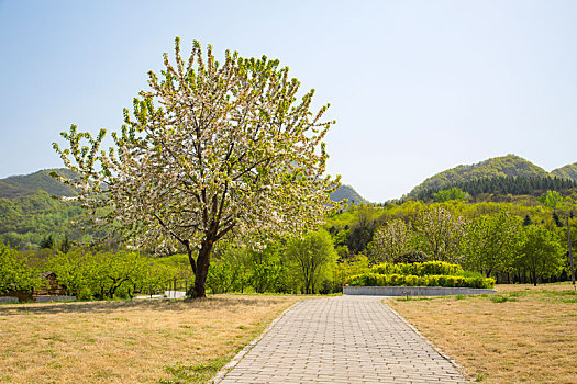 秦岭山国家植物园