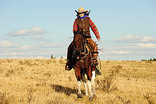 女牛仔,骑,草原,萨斯喀彻温,加拿大,北美