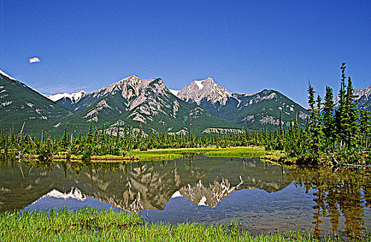 阿萨巴斯卡河,山谷,景色,碧玉国家公园,艾伯塔省,加拿大