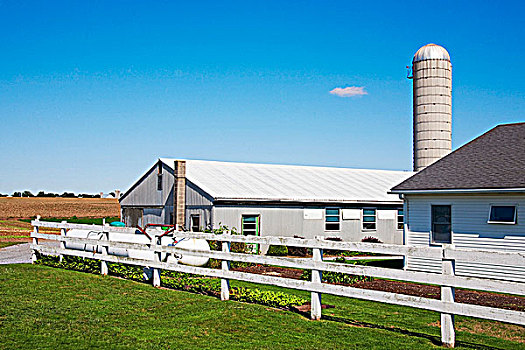 谷仓,农场,兰卡斯特,宾夕法尼亚,美国