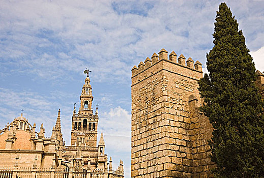 大教堂,墙壁,王宫,塞维利亚,塞维尔省,西班牙