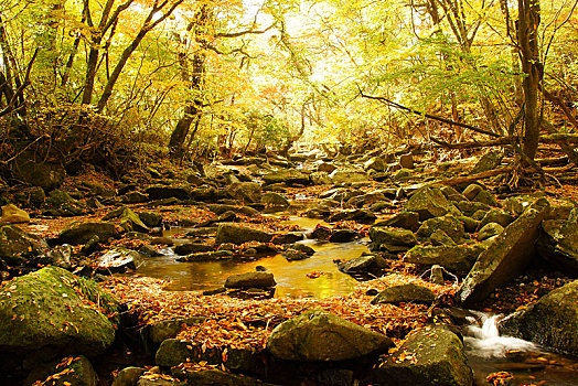 山谷,熊本,日本