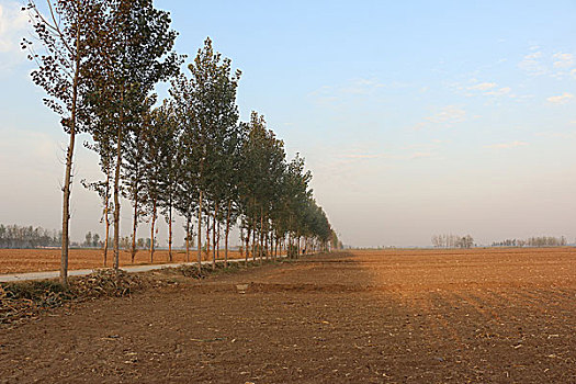 农村土地道路