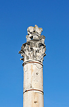 罗马柱,只有,剩余,柱子,柱廊,扎达尔,达尔马提亚,克罗地亚,欧洲