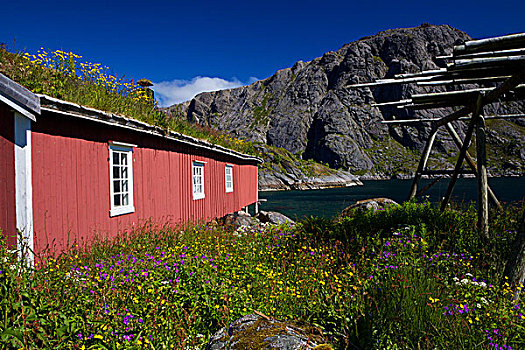 挪威,捕鱼,小屋