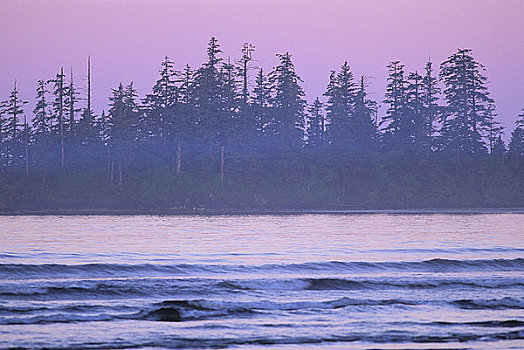 波浪,海洋,长滩,环太平洋国家公园,自然保护区,温哥华岛,不列颠哥伦比亚省,加拿大