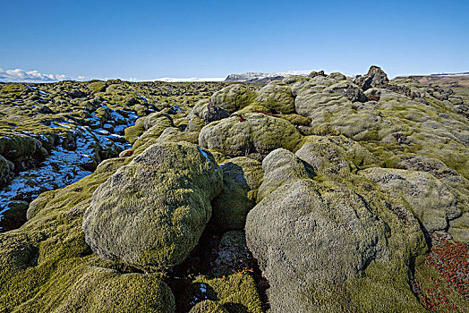 冰岛,南海岸,苔藓密布,火山岩,石头,下雪,蓝天,山,背景