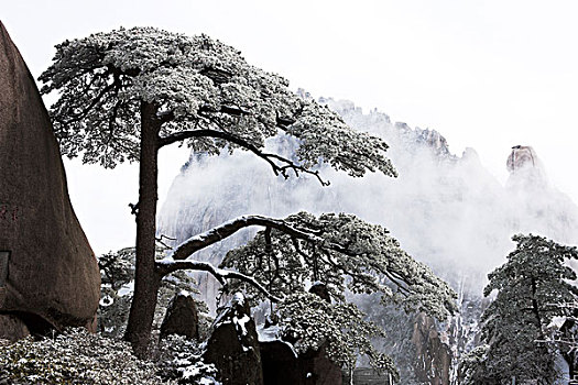 安徽,黄山,雪景