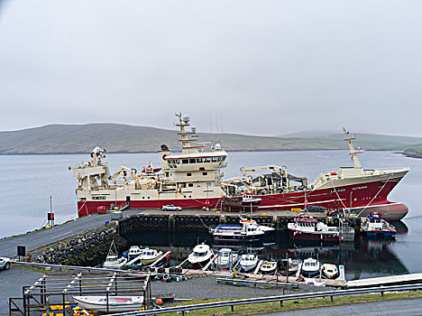拖船,码头,设得兰群岛,苏格兰,大幅,尺寸