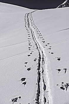 滑雪轨迹,雪中,冬天,山,阿尔卑斯山,提洛尔,奥地利,欧洲