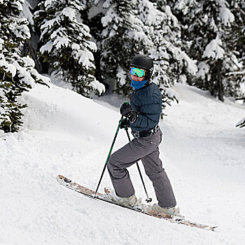 滑雪者,雪,山,小路,不列颠哥伦比亚省,加拿大