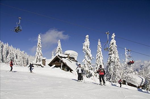 滑雪者,正面,阿尔卑斯小屋,缆车,卡林西亚,奥地利,欧洲