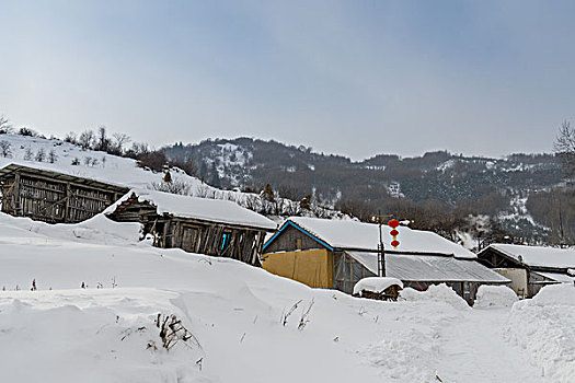 雪地,树林,村庄,雪村