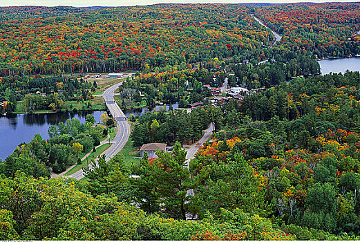 俯视,风景,树,安大略省,加拿大