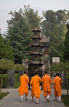 河南大法王寺