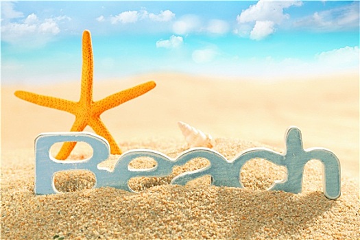 海星,标识,海滩,海洋,沙子
