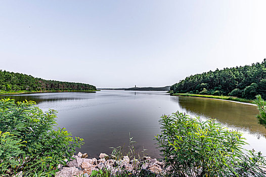 荷花盛开的中国长春净月潭国家森林公园风景