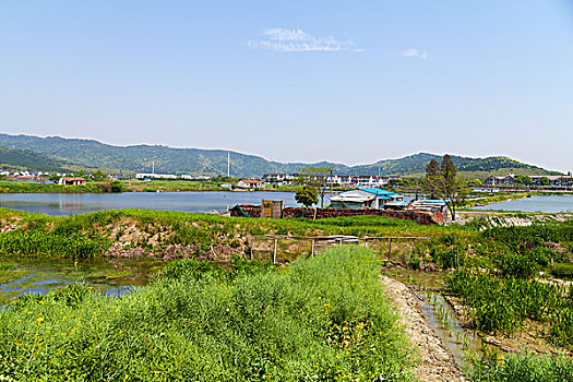 苏州旺山村风光