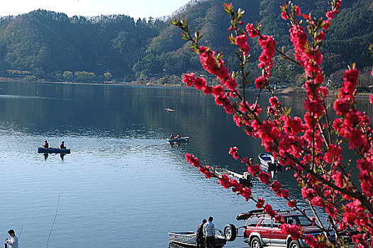 日本河口湖风光