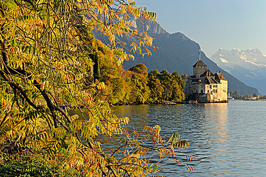 城堡,湖,日内瓦,凹,山峦,蒙特勒,瑞士,欧洲
