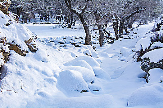 厚厚的积雪堆积成的大雪球