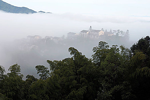 休宁木梨高山人家