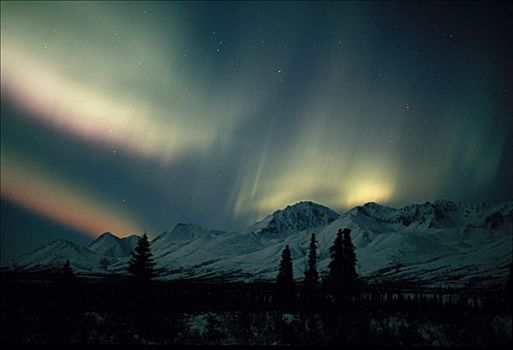 北极光,阿拉斯加山脉,德纳里峰,公园,室内,冬天,景色