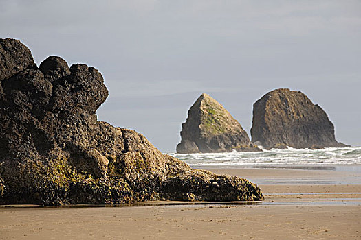 岩石构造,海洋,波浪,海滩,坎农海滩,俄勒冈,美国