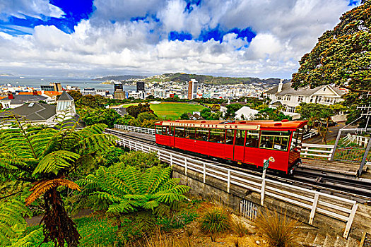 新西兰惠灵顿观光车