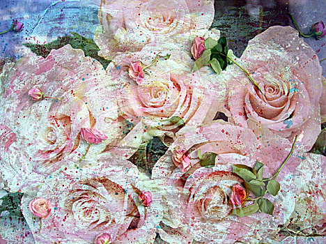 粉色,玫瑰,上方,粉红玫瑰,花,纹理,情感,照片,层次,工作,描绘,风格