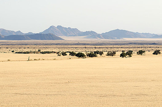 风景,沙丘,纳米比亚,非洲