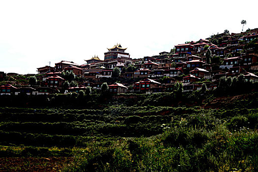 藏族节日