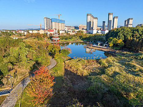 江西金溪,芳香文旅助力高质量发展