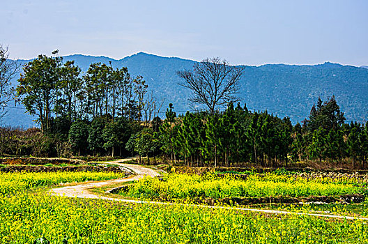 田园春色