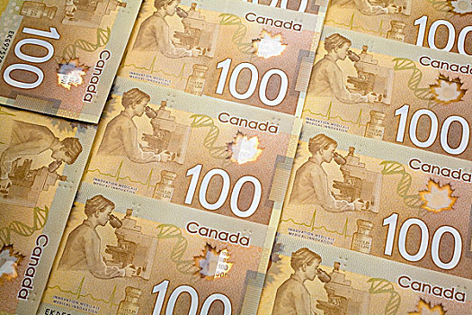 背面,新,加拿大,美元,魁北克
