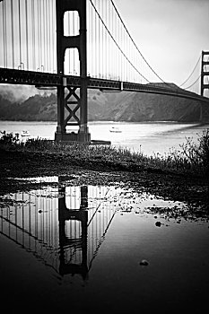 金色,大门,桥,反射,前景,旧金山,加利福尼亚,美国
