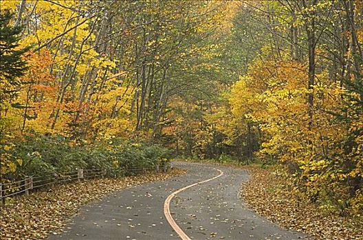 北海道,日本