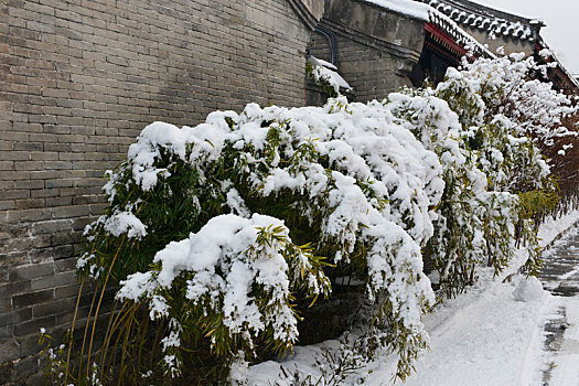 竹雪宫院