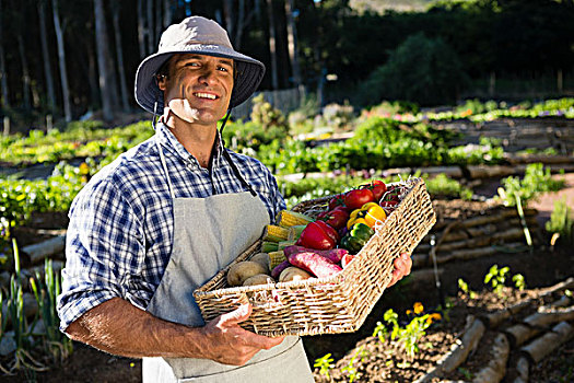 头像,高兴,男人,拿着,篮子,新鲜,蔬菜,农场