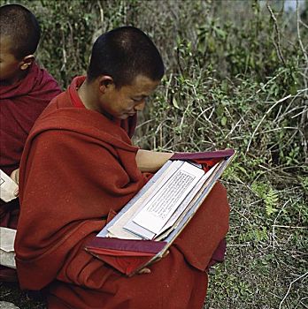 僧侣,学习,不丹