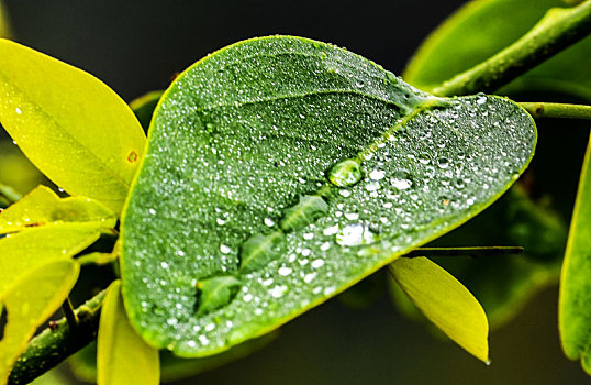 重庆酉阳,雨过天晴的清晨