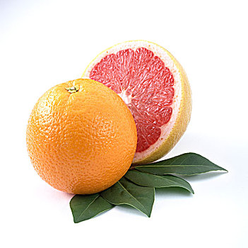 橙子,柚子
