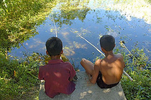男孩,抓住,鱼,沼泽,孟加拉,六月,2007年