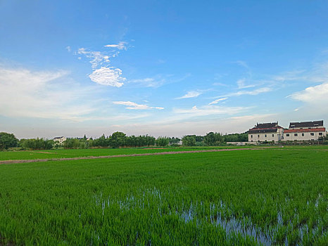 田园风光,乡野