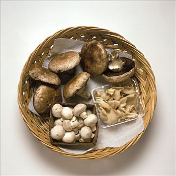种类,蘑菇,篮子
