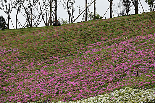 贵州遵义,废弃土石场变身城市公园引客来