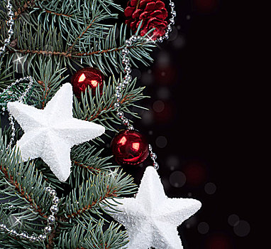 杉枝,圣诞装饰,黑色背景