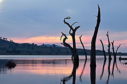湖,日落,维多利亚,澳大利亚