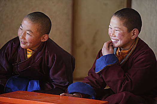 蒙古,寺院,学生,喇嘛,教室,学校